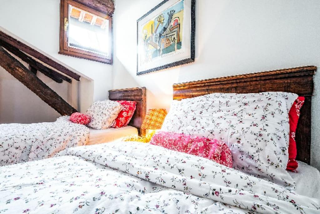 Loft Overlooking The Old Town . Фельтре Екстер'єр фото